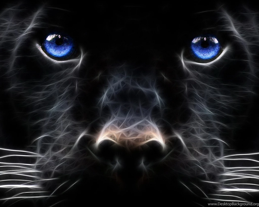 Fantasy Wallpapers Free: Fantasy 3d Wallpapers
