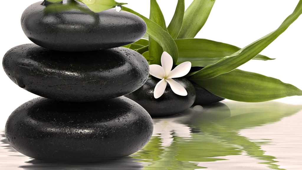 Nature Plants Zen Plumeria