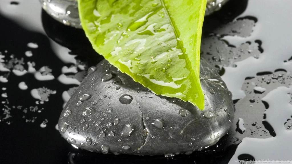 Zen Stone And Leaf HD Desktop Wallpapers : High Definition ...
