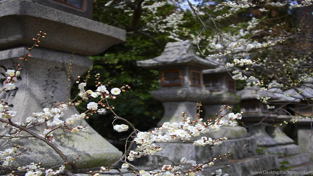 Spring Of Zen Wallpapers (
