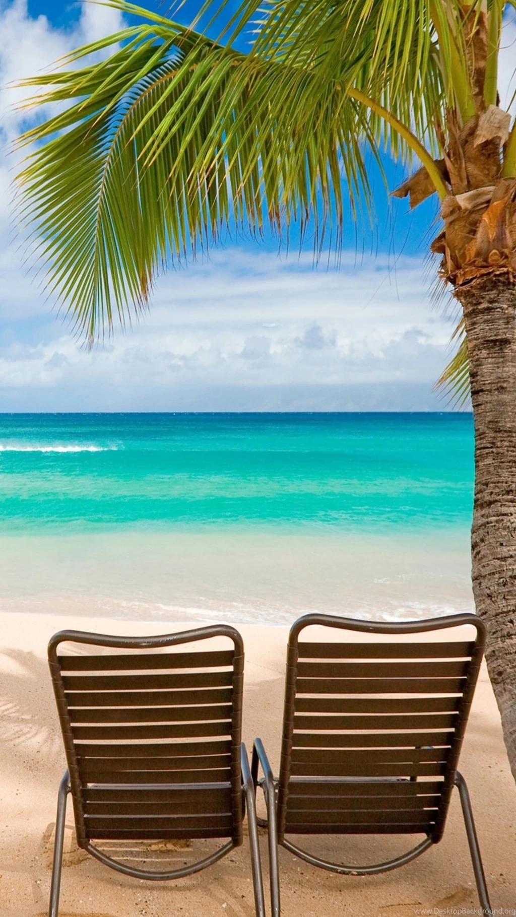 Beach Chairs Palm Tree Seaside Android Wallpapers Free Download