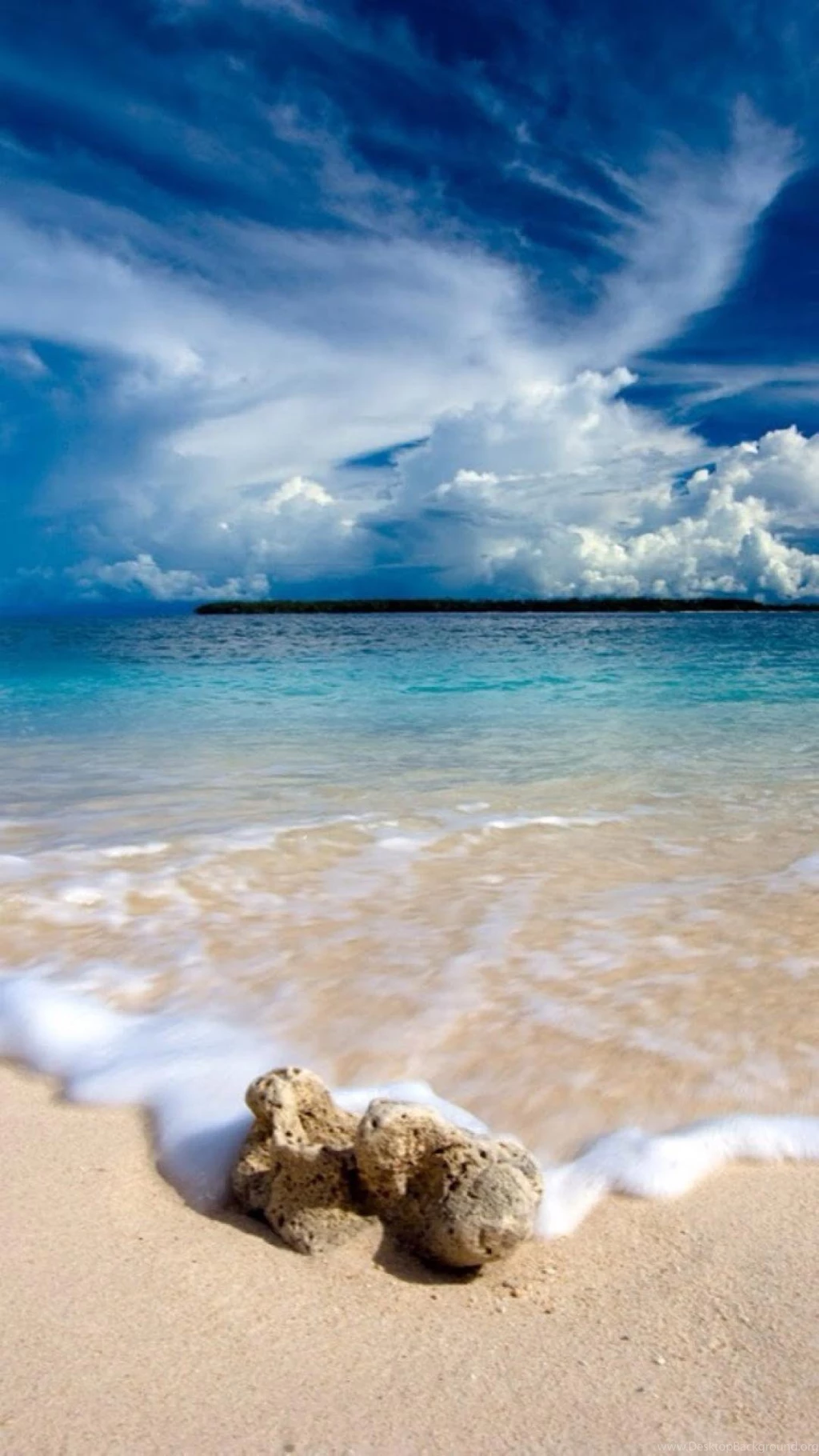 Summer Beach Sea Shore