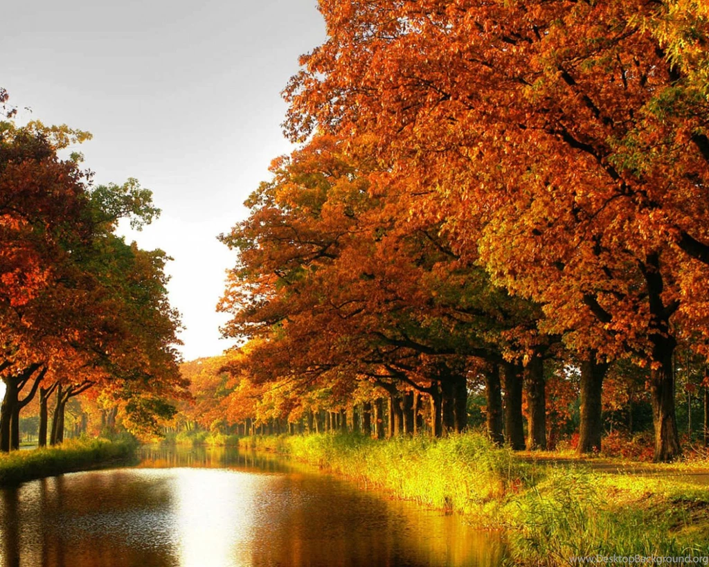 Nice_Fall_River_Background.jpg?m=1399676400