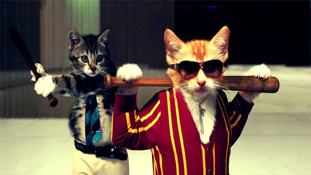Hd Funny Wallpapers