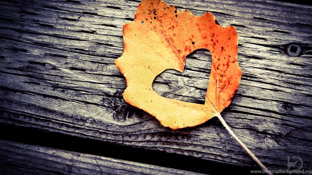 Hd Love Wallpapers