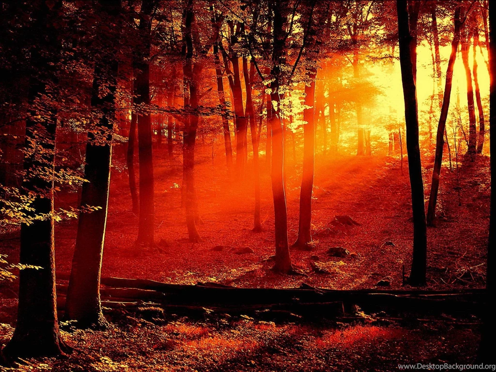 Free 3D High Resolution 109 Wallpapers