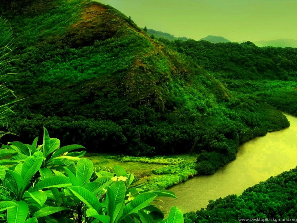 Hd Wallpapers For Mobile – 1080×1920 High Definition Wallpapers ...