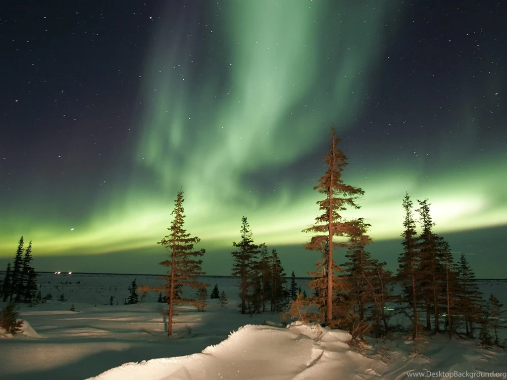 Ihwan Management: Widescreen Nature Wallpapers High Resolution