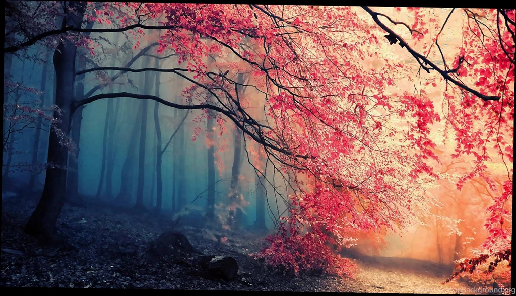 Orchestral Uplifting Wallpapers Free Download On Wallpapers Bros