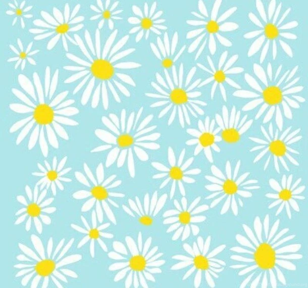 Backround, Blue, Daisy, Wallpapers Image