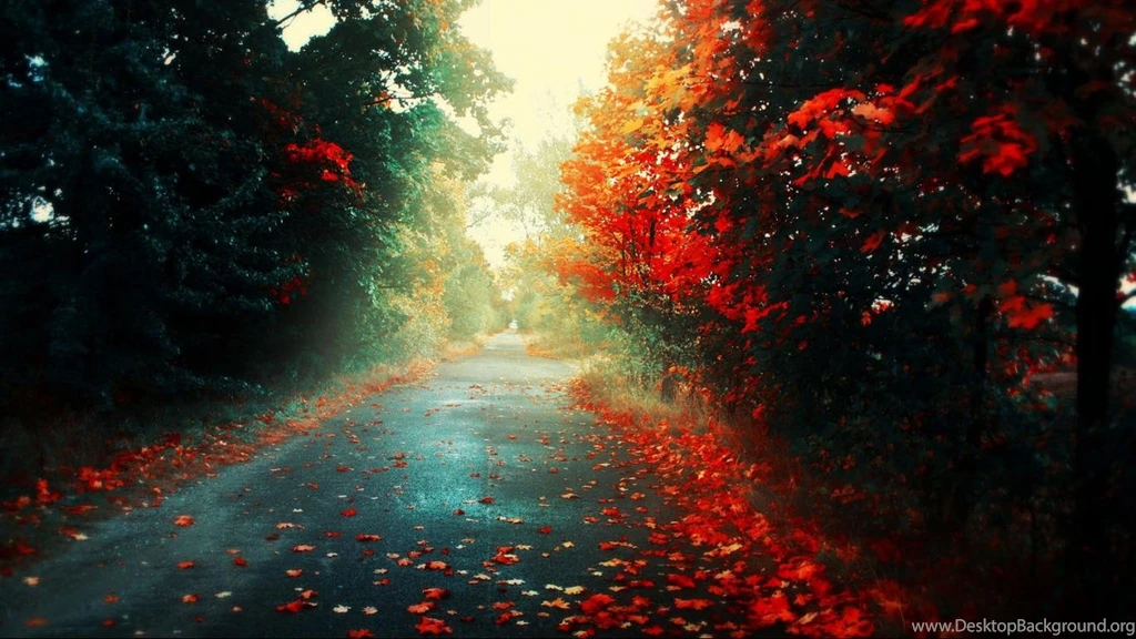 HD Wallpapers