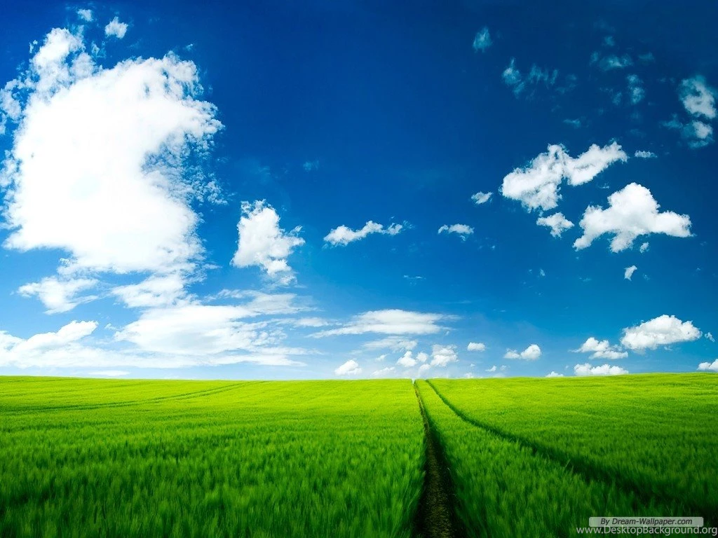 Desktop Wallpapers HD 1024x768