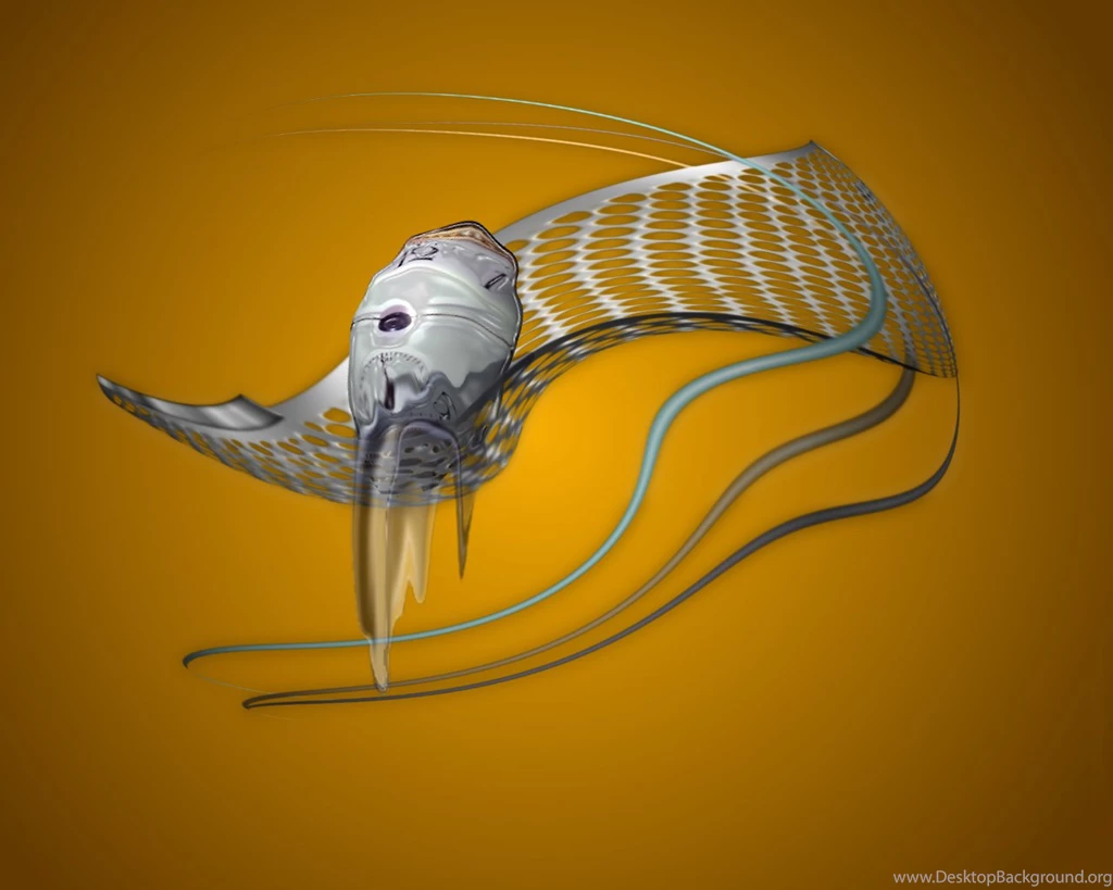Wallpapers Kde.jpg