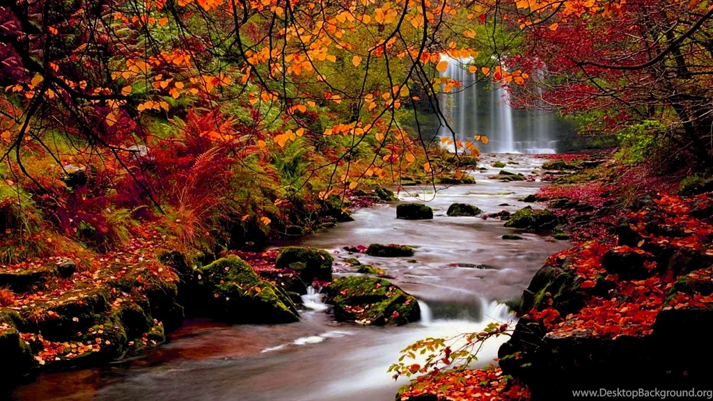 High Resolution Fall Pictures In Full HD 1080p