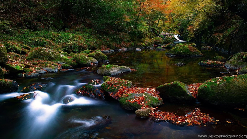 Autumn Forest River