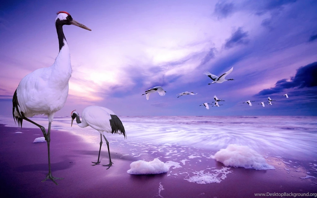 New Hd Wallpapers Collection (30+)