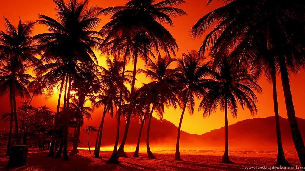 Sunrise Hd Backgrounds Wallpapers Free Hd Wallpapers