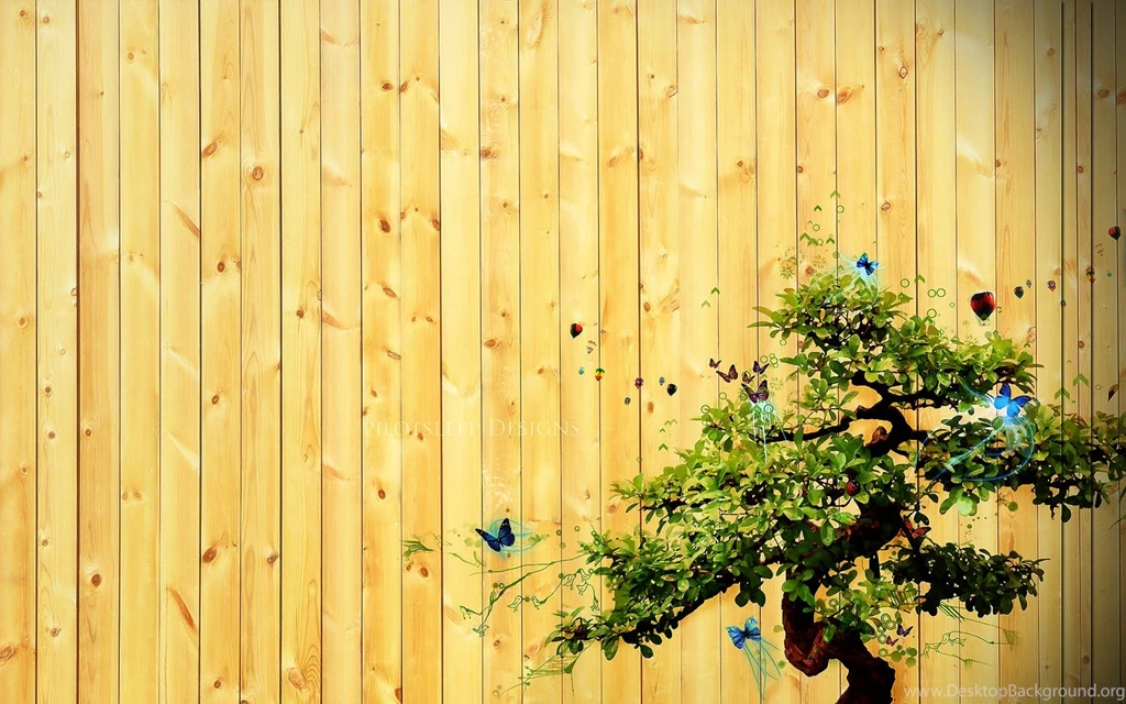 Bonsai Zen Tree Backgrounds \ Wallpapers HD