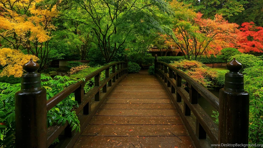 HD Wallpapers By Bega Photo 43 Of 89