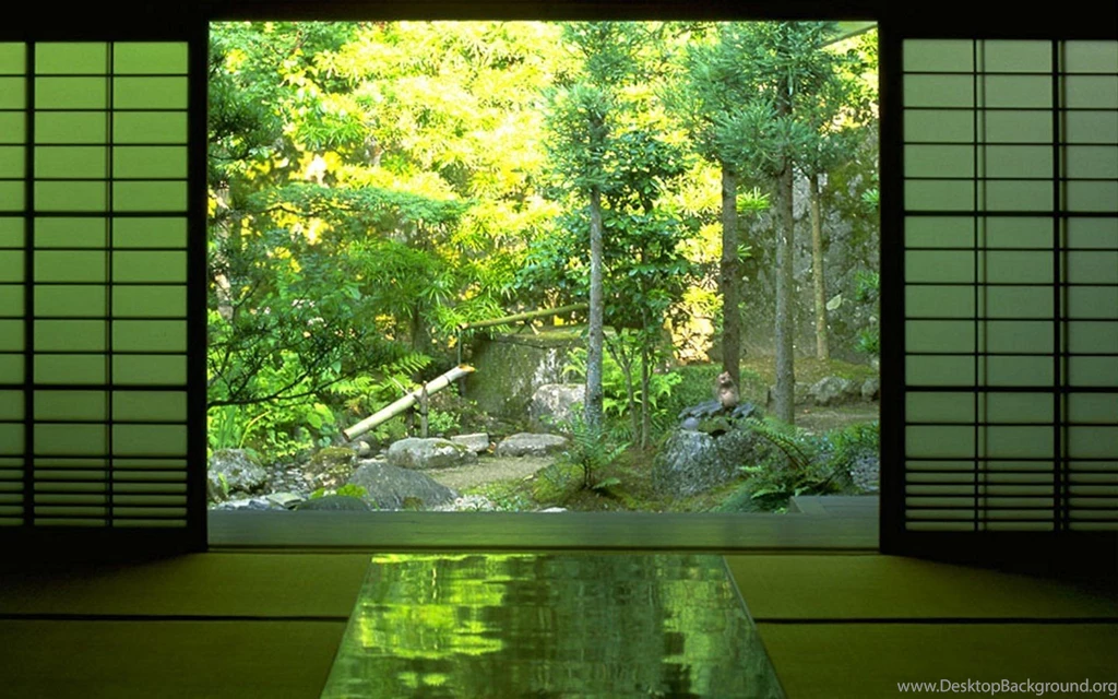 Zen, Nature, Forest Wallpapers HD / Desktop And Mobile Backgrounds