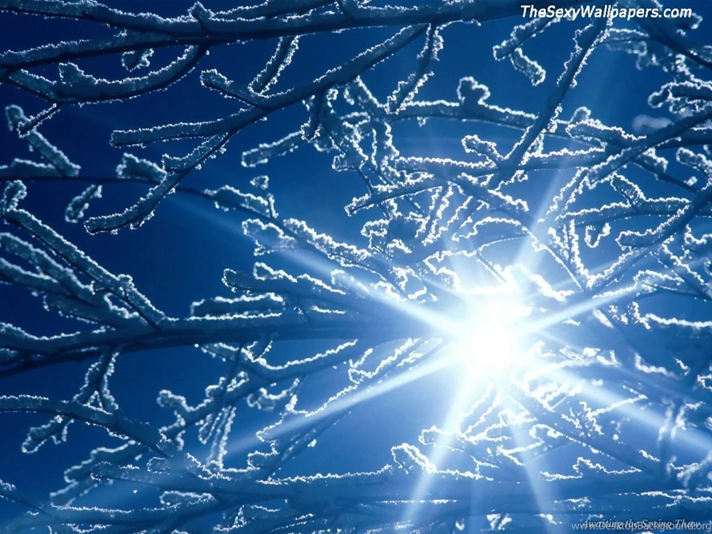 Winter Pictures Free All Wallpapers New