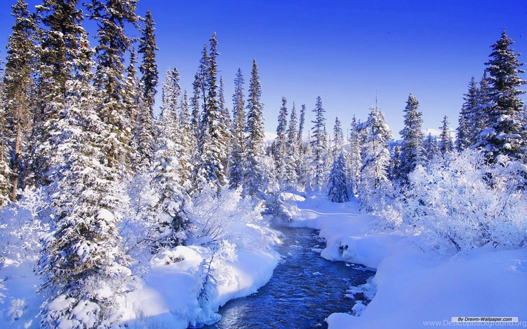 Winter Pictures Free All Wallpapers New