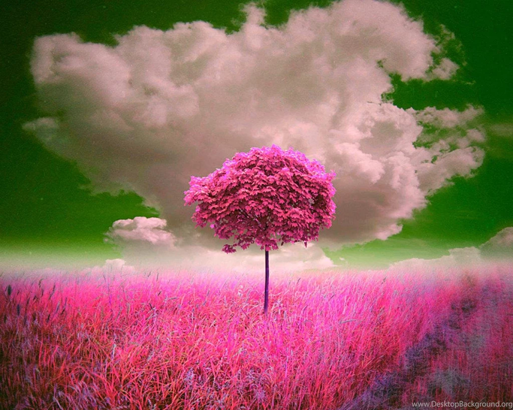 Pink Tree (
