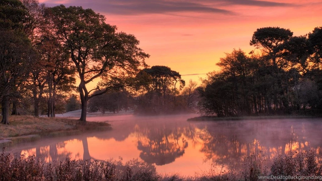 Pink Morning Trees Fog Sky Lake HD Wallpapers Wallpapers (