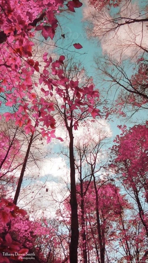 Image Via We Heart It