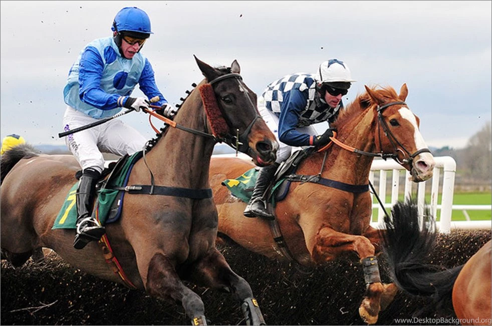 Horse Racings Resultshorse Racing Wallpapers Horse Race Horse ...