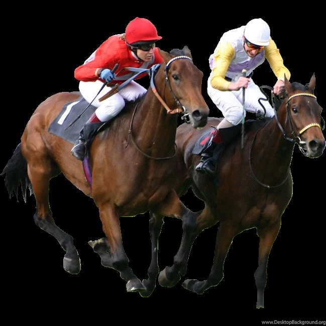 Top 31 Amazing And Dashing Horse Racing Wallpapers In HD