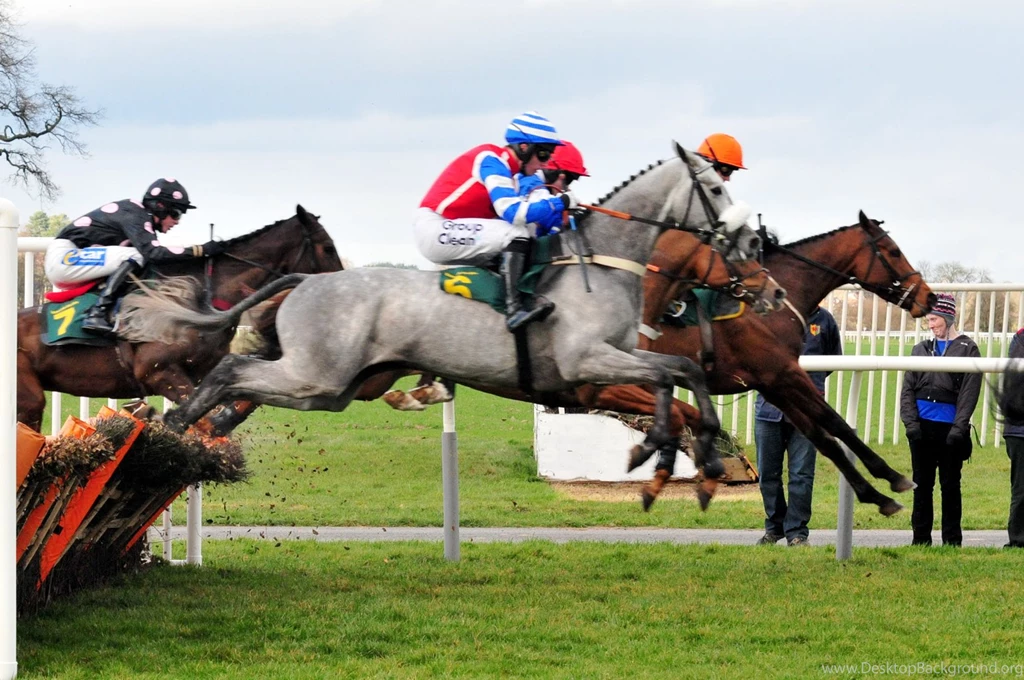 Horse Horse Racinghorse Racing Hd Horse Racing Wallpapers Www ...