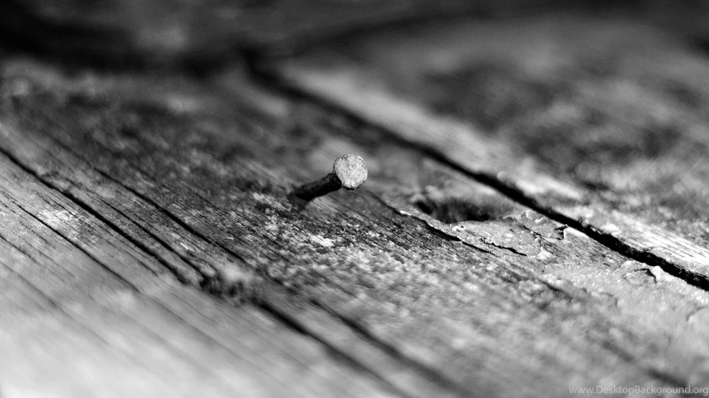 Download 1920x1080 Old Nail In Wood Wallpapers