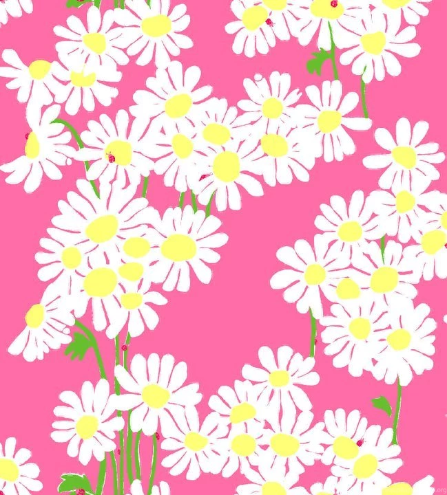 Hello Kirsti: Lilly Pulitzer Wallpapers