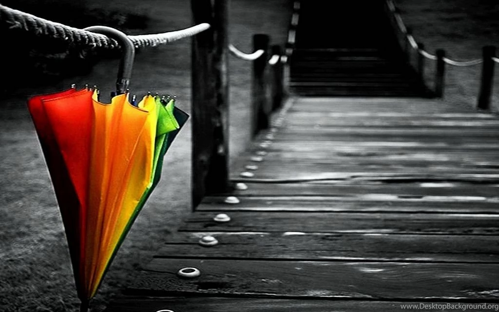 The Word This Week – YOUR SEED WILL PRODUCE AFTER ITS OWN KIND ...