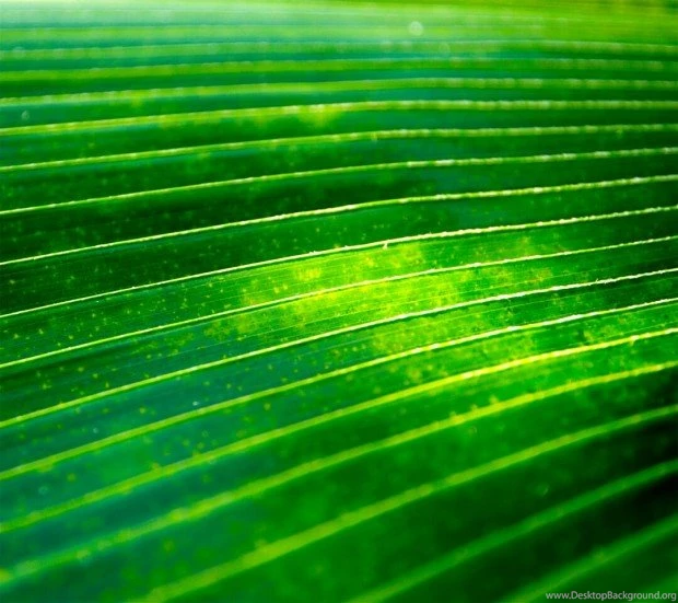 Motorola Droid Razr M Wallpapers Now Available For Download