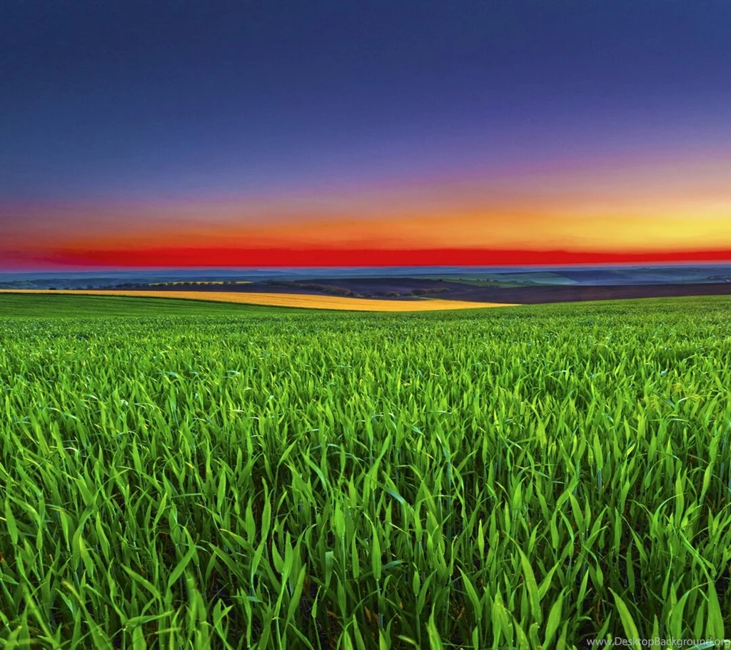 Download Droid Razr M Stock Wallpapers Stock Wallpapers
