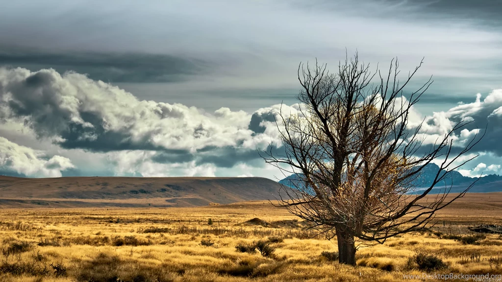 New Zealand Wallpapers
