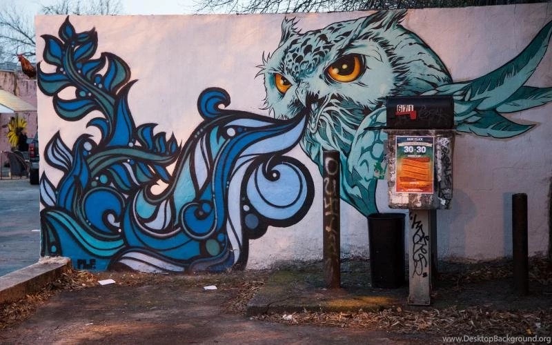 Owl Bird Graffiti HD Wallpaper,digital/artwork HD Wallpaper,bird ...
