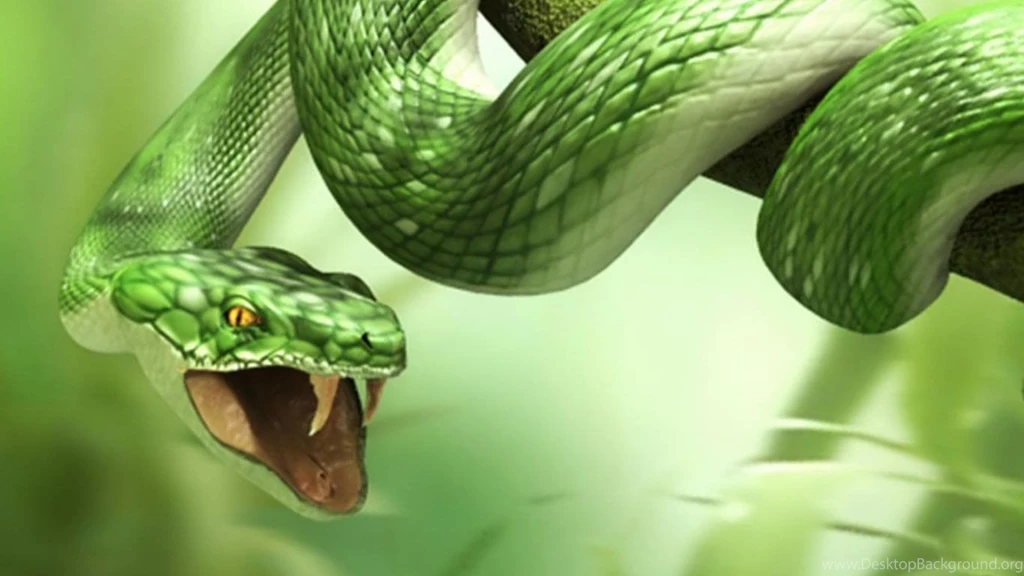 3d Snake Hd Wallpapers For Laptop 1366x768
