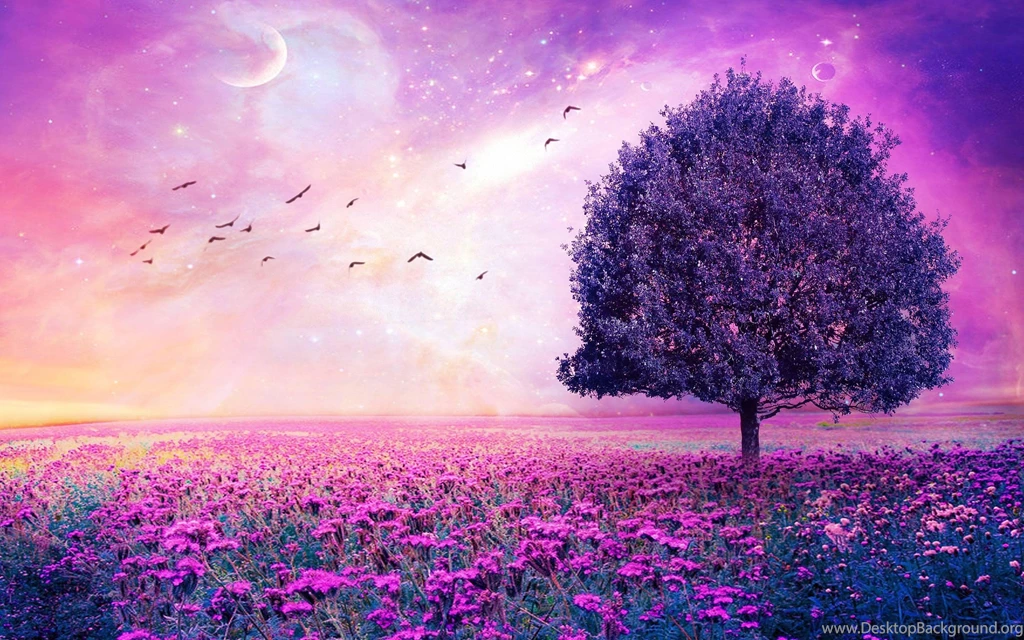 Purple Tree Wallpapers Background Images