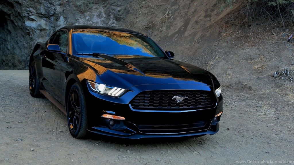 Download Wallpapers 1920x1080 Ford, Mustang, Black, Front View ...