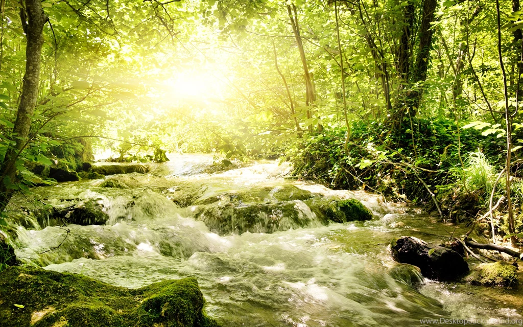 Beautiful Desktop Wallpapers