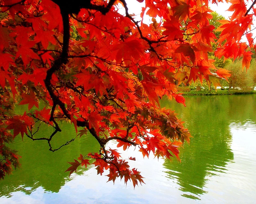 Wonderful Autumn Free Beautiful Wallpapers Download For Your ...
