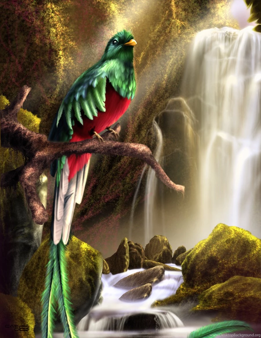 DeviantArt: More Like Quetzal By XSnowyflaketheratx