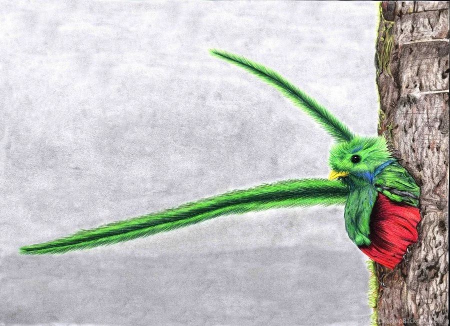 Quetzal By Yoite7 On DeviantArt