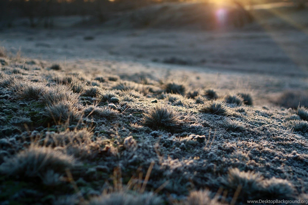 The New Wallpapers Of Ubuntu 12.10