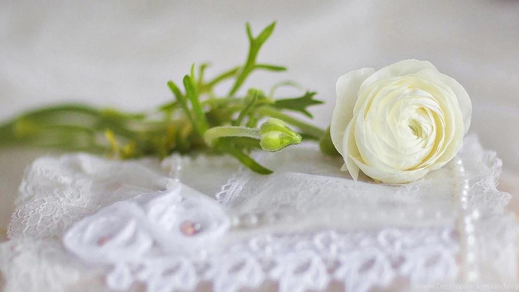 Beautiful White Roses Basket Wallpapers, Rose Flower Images, Rose ...