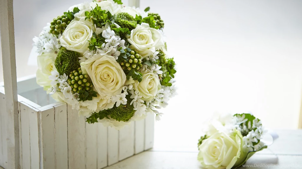 White Rose HD Wallpapers, Rose Flower Images, Rose Pictures And ...