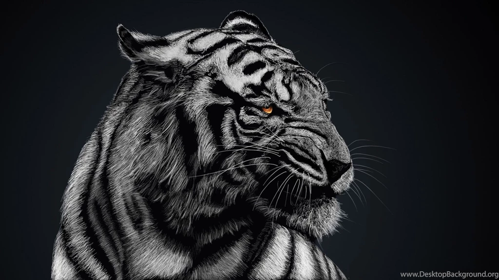Black And White Tiger Wallpapers High Quality : Animal Wallpapers ...